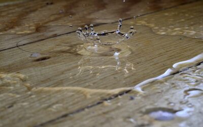 Will Interior Water Damage Be Covered If I Delay My Roof Repair After a Storm?